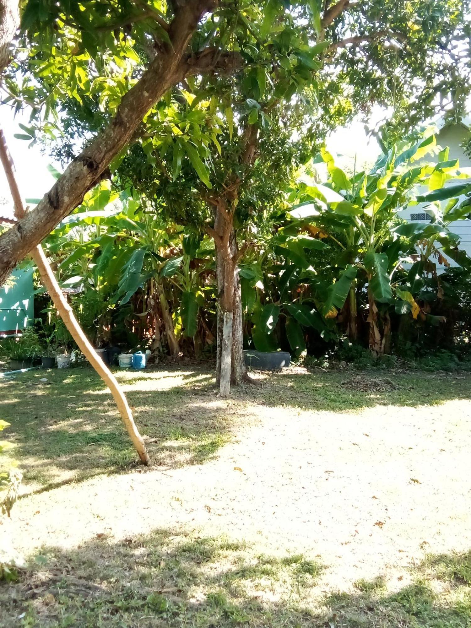 Lanta Salamat House Ko Lanta Eksteriør billede